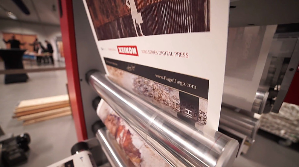 Apolo - Xeikon - Papel de Parede - Rebel Walls - Foto7